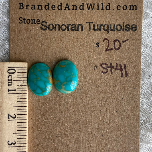Sonoran Turquoise Cabochon - ST41
