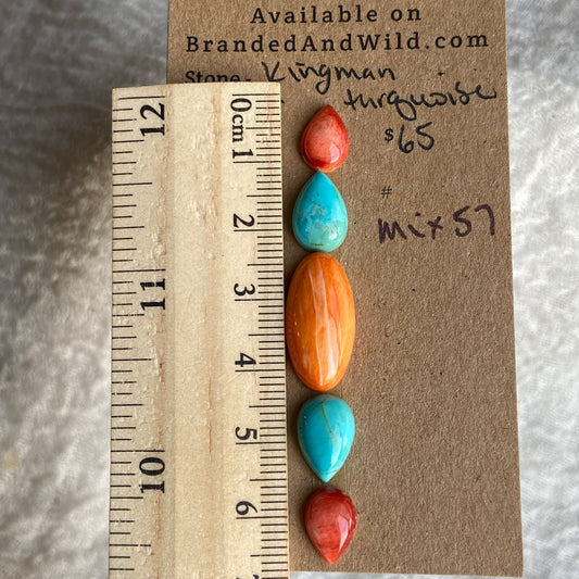 Oystershell - Kingman Turquoise Cabochon - MIX57