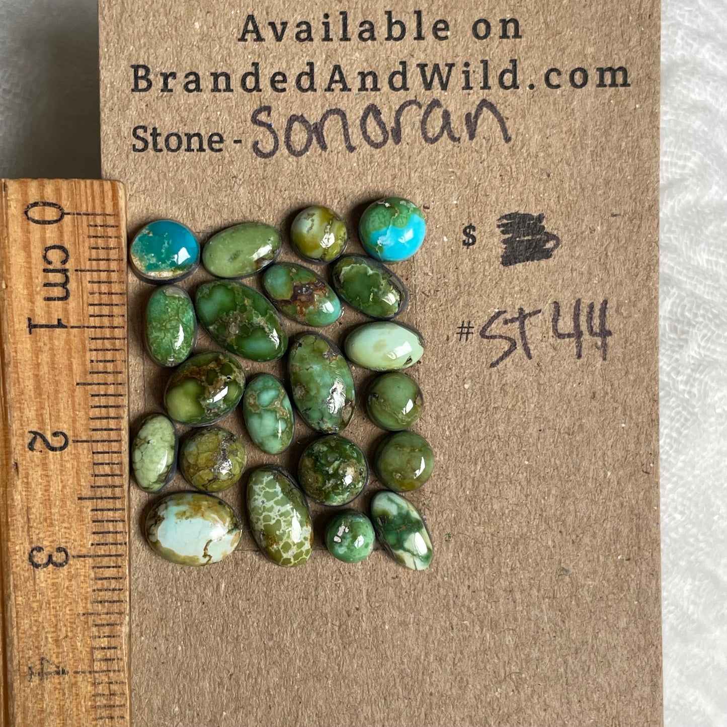 Sonoran Turquoise Cabochon - ST44