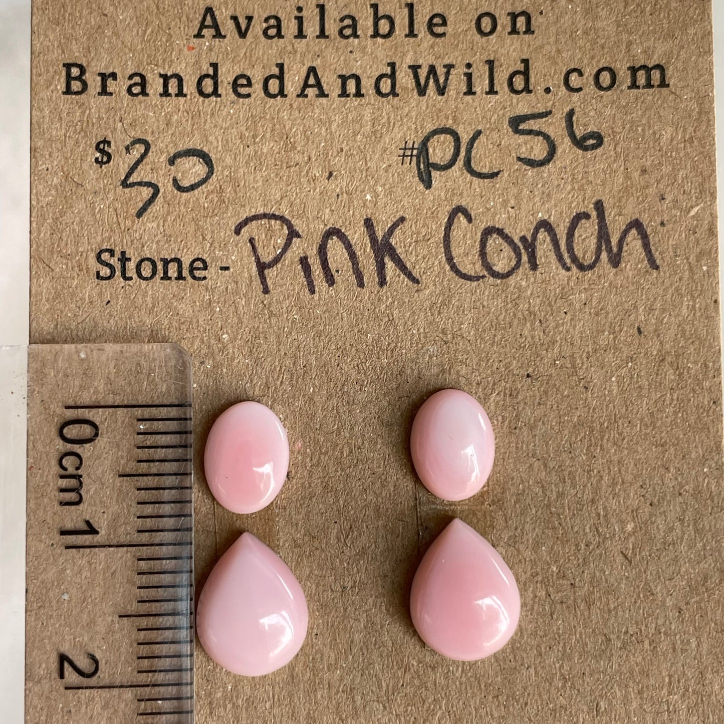 Pink Conch Cabochon - PC56