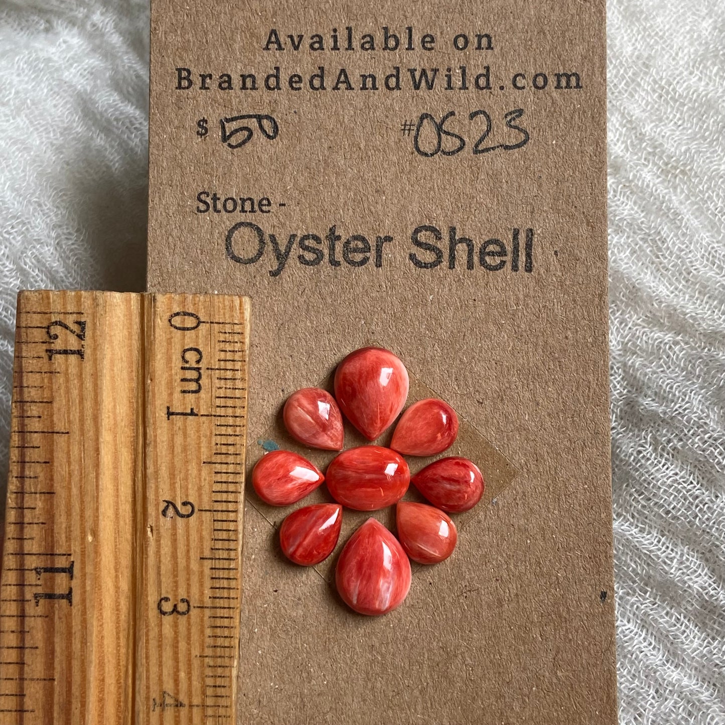 Oyster Shell Cabochon - OS23
