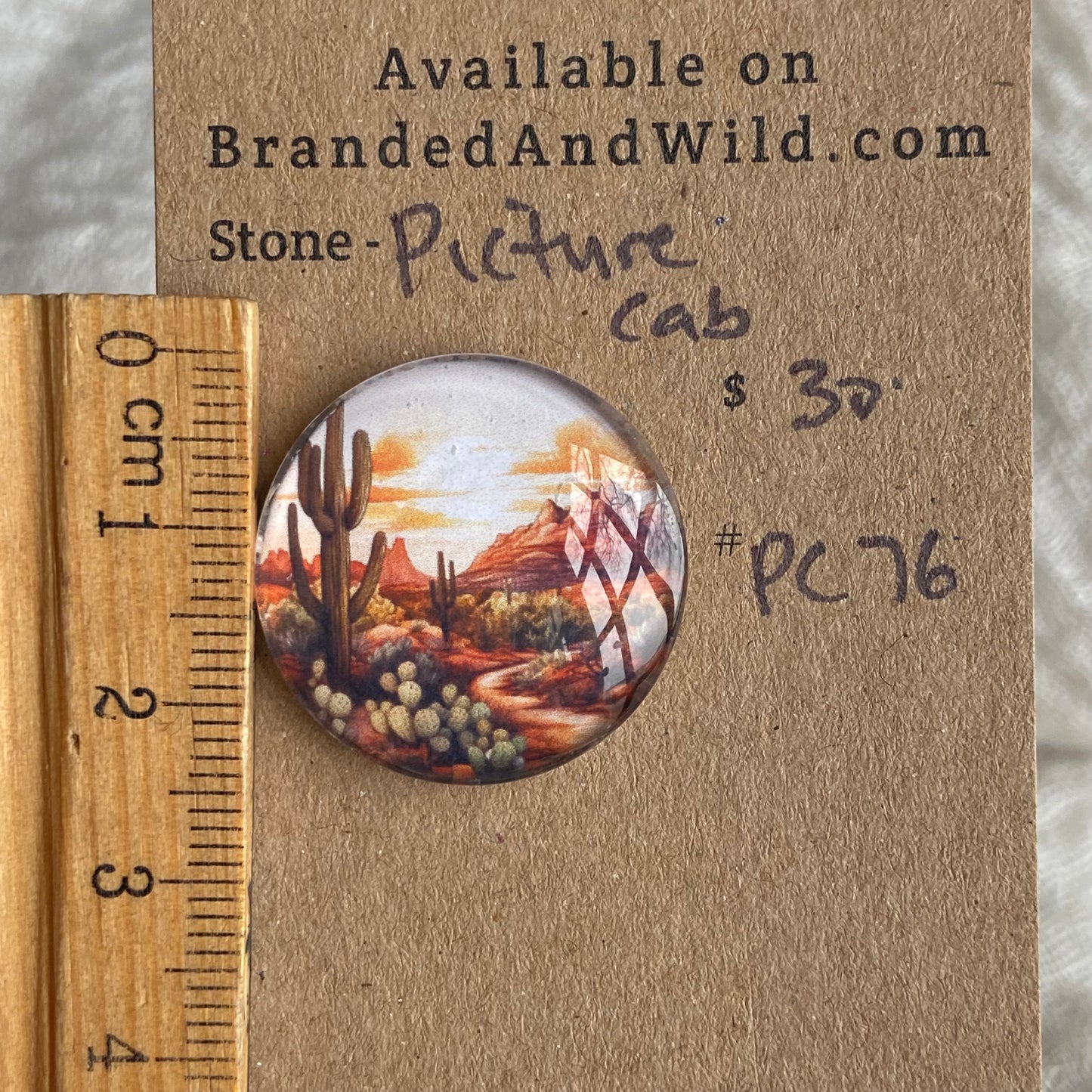 Picture Cabochon - Cabochon - PC76 879DE646-40D8-4847-89D4-C7AC291B02BC Brandedandwild.com