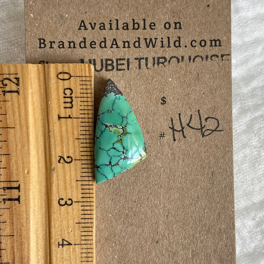 Hubei Turquoise Cabochon - H42