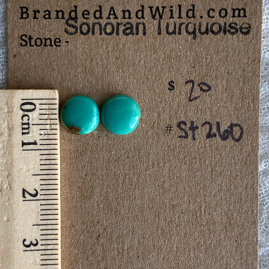 Sonoran Turquoise Cabochon - ST260