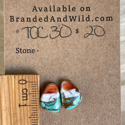 Turquoise, Oyster Shell, Copper Cabochon - TOC30 88212ADE-EF0E-490B-92FB-2E52A651CFA3 Brandedandwild.com