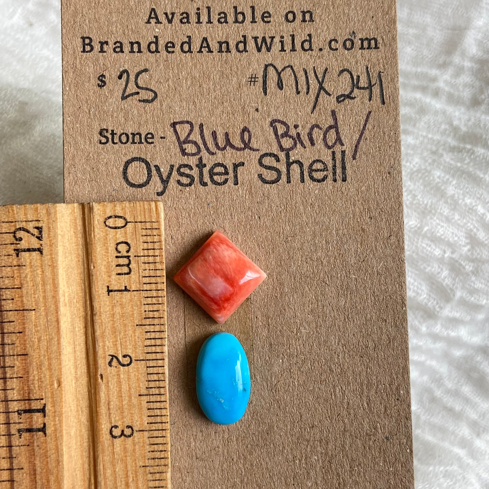 Oyster Shell / Blue Bird Cabochon - Mix241 882784C3-DC23-481E-8BE4-A98E0E04A557 Brandedandwild.com