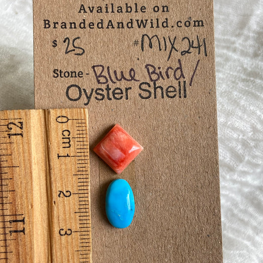 Oyster Shell / Blue Bird Cabochon - Mix241 882784C3-DC23-481E-8BE4-A98E0E04A557 Brandedandwild.com