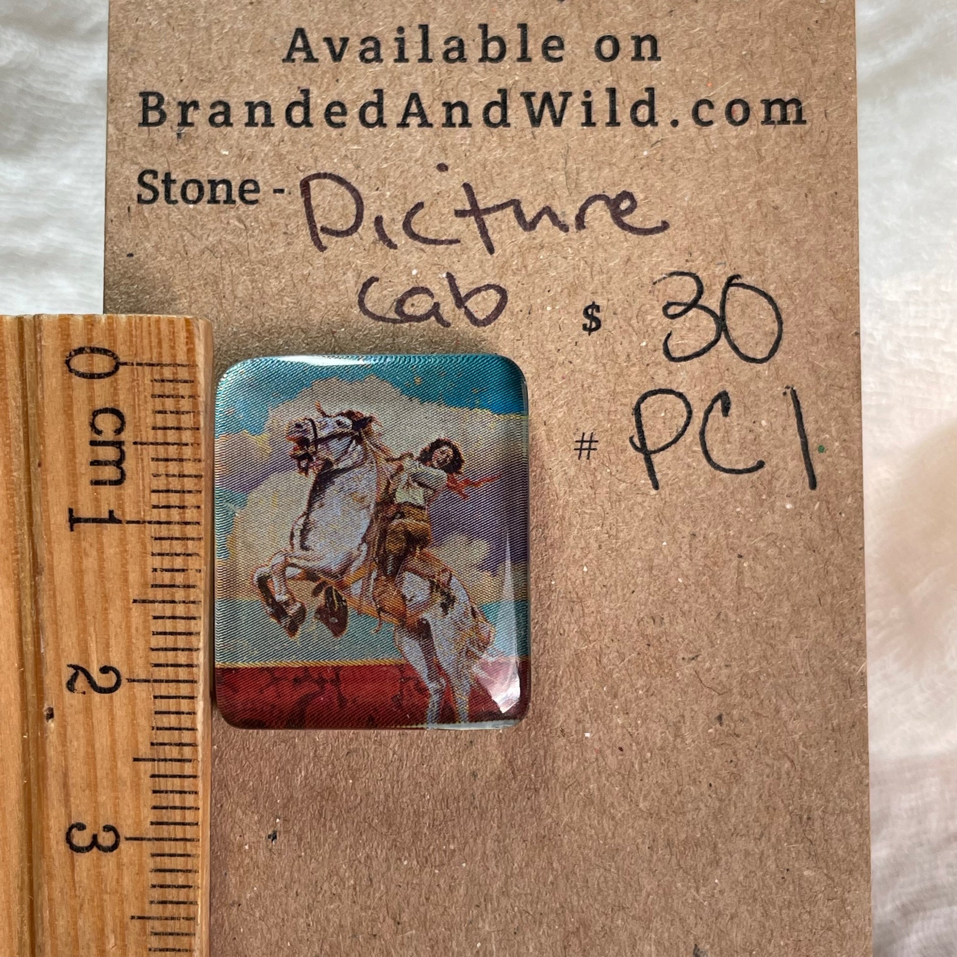 Picture Cabochon - Cabochon - PC1 882FCFEA-561E-4888-BEA3-00C6B2AF6D26 Brandedandwild.com
