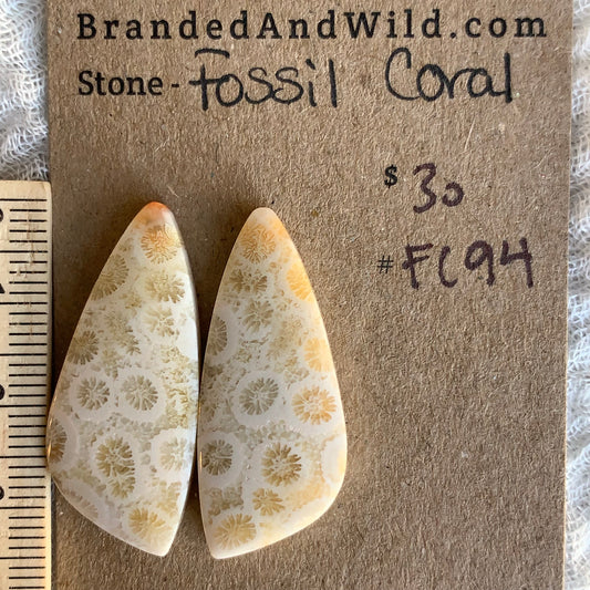 Fossil Coral Cabochon - FC94