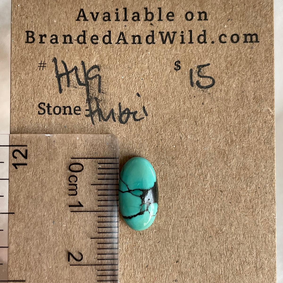 Hubei Turquoise Cabochon - H49 8887132D-50FA-4C8A-983D-6BF61E9608A3 Brandedandwild.com