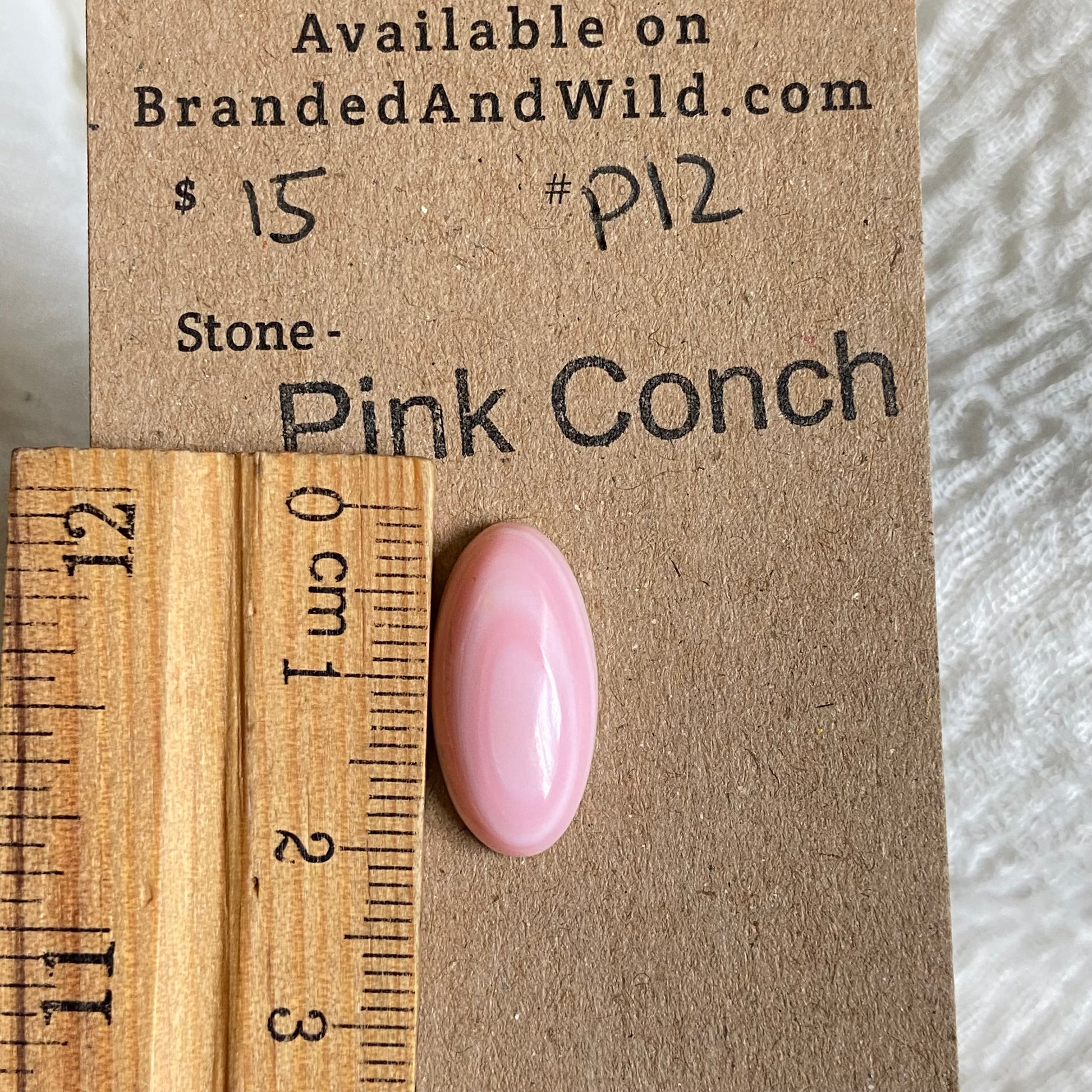 Pink Conch Cabochon - P12 888911AD-51F6-4139-83B7-9EAC68F4AC33 Brandedandwild.com