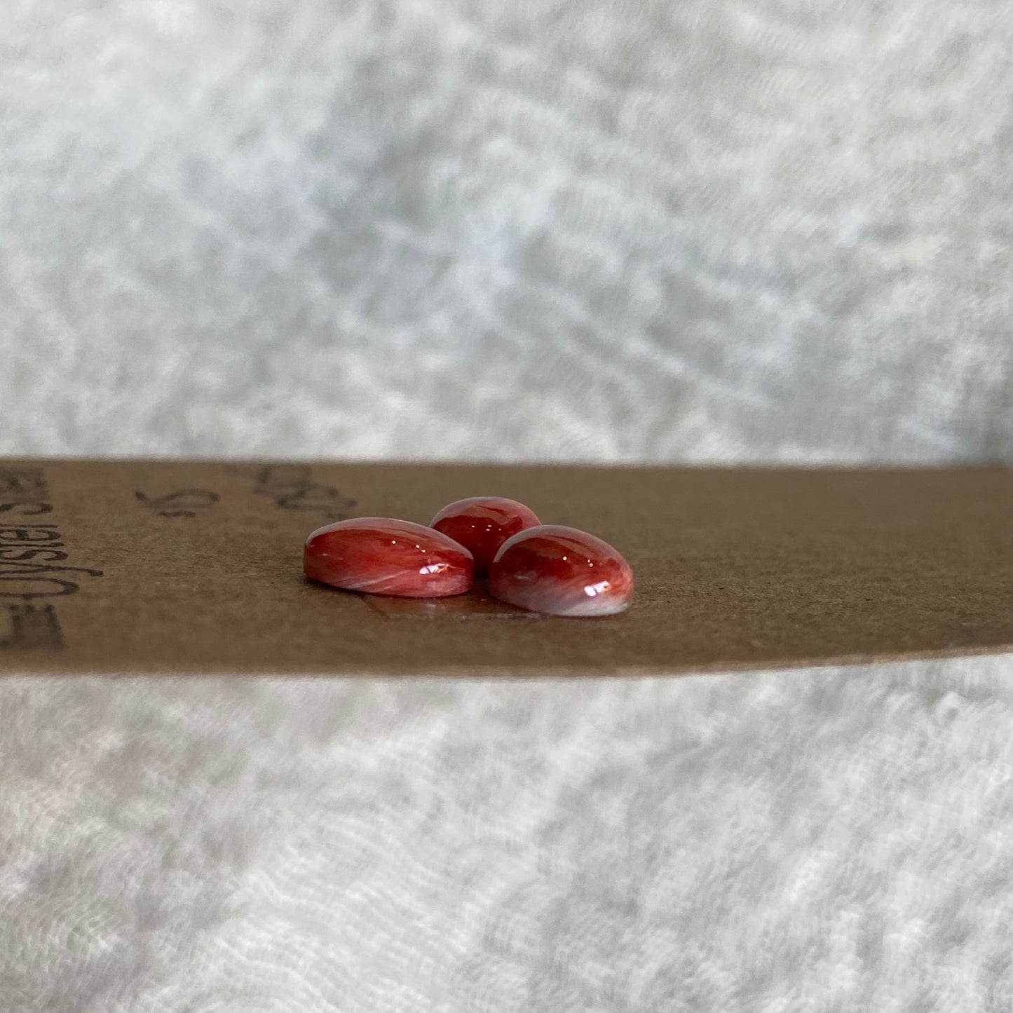 Oyster Shell Cabochon - OS105