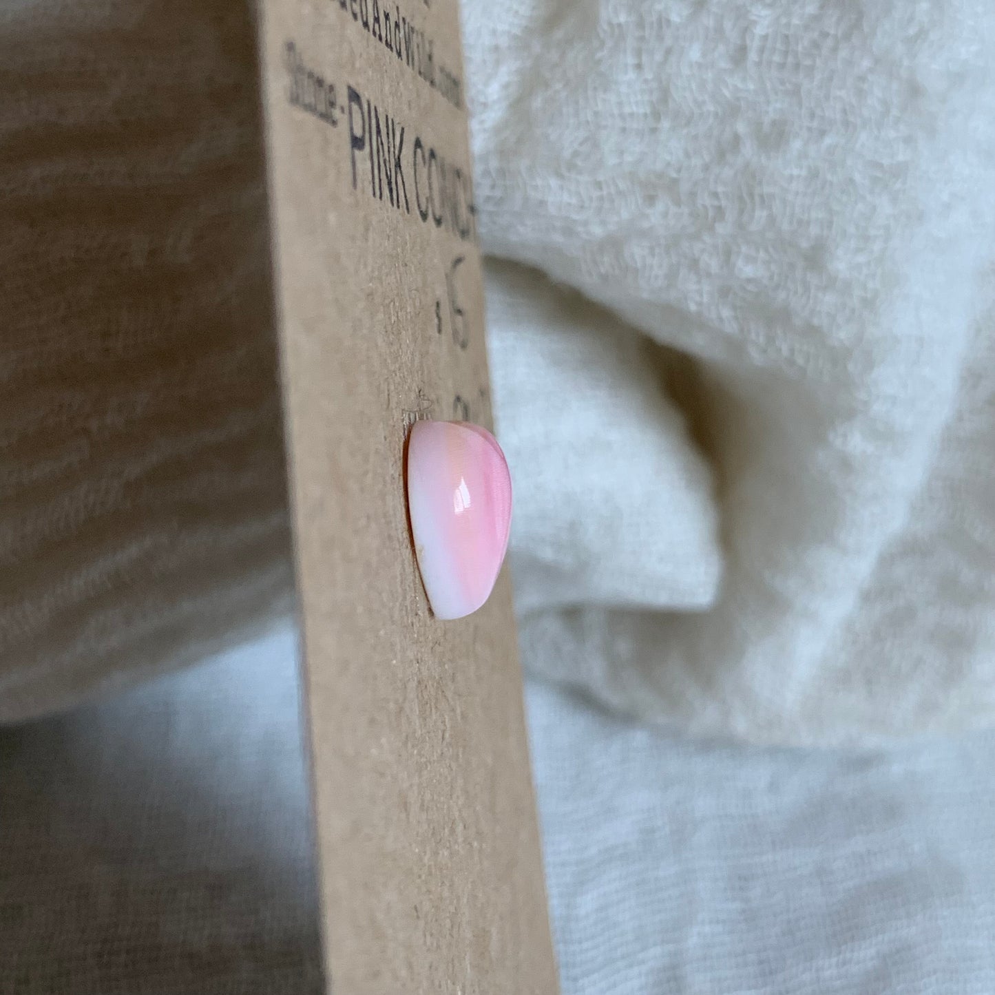 Pink Conch Cabochon - PC62