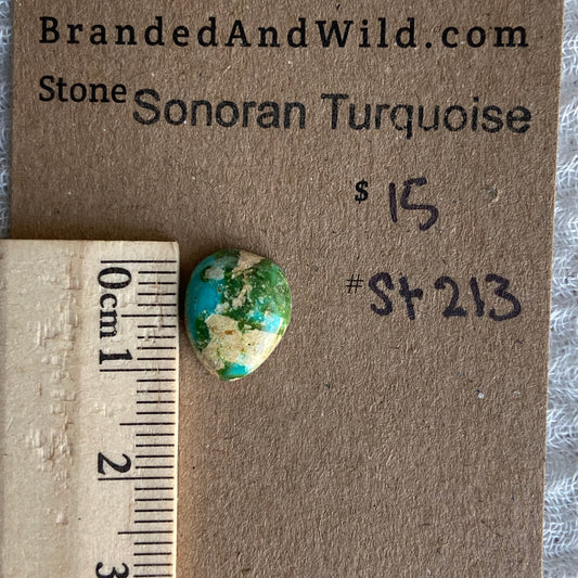 Sonoran Turquoise Cabochon - ST213