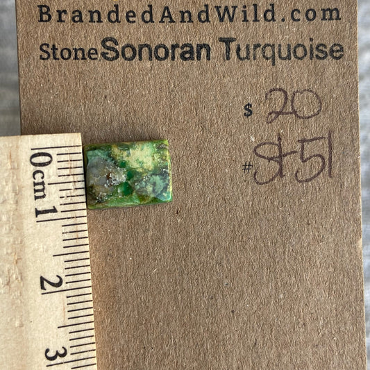 Sonoran Turquoise Cabochon - ST51