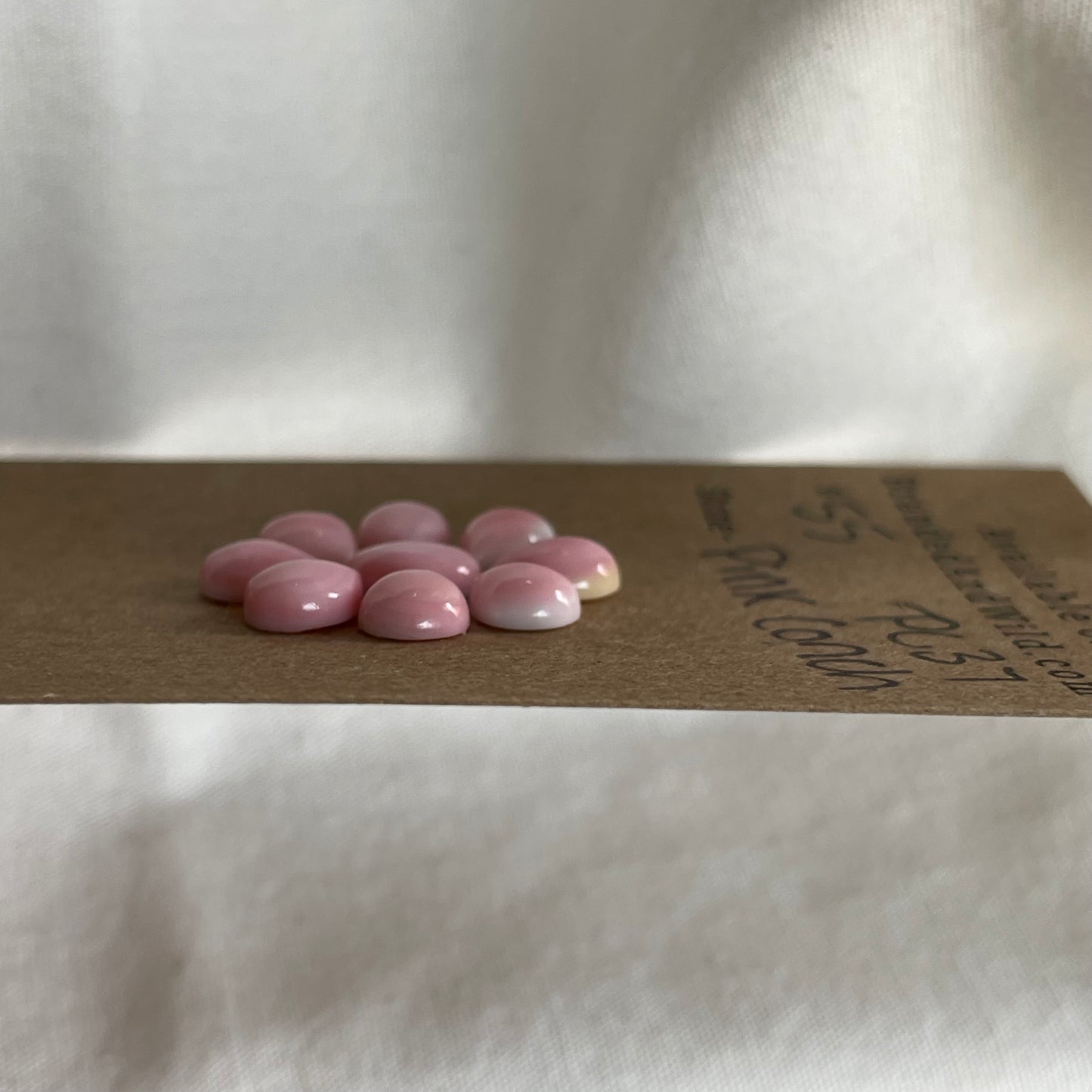 Pink Conch Cabochon - PC37