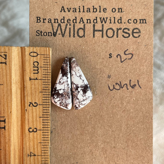 Wild Horse Cabochon - WH61