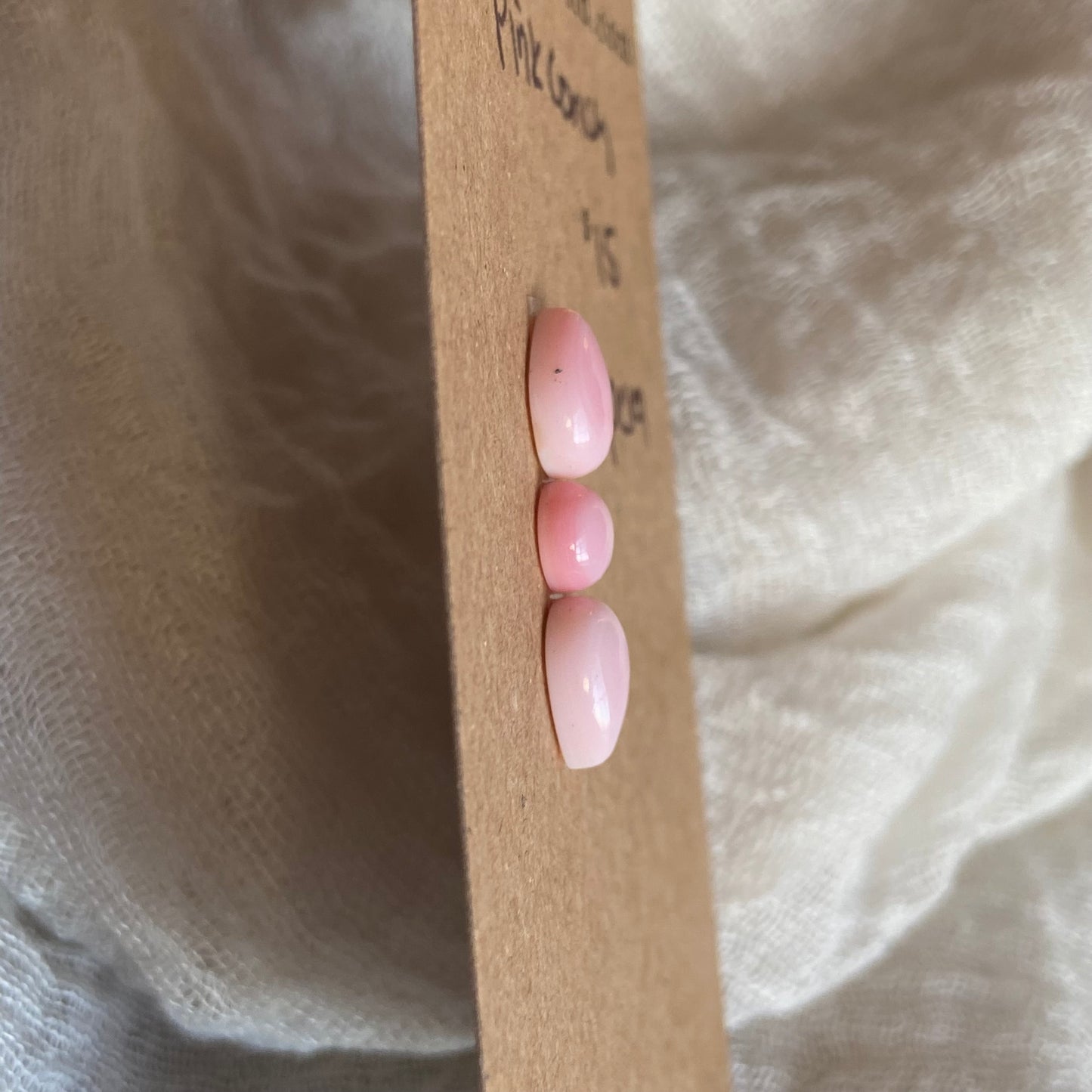 Pink Conch Cabochon - PC19