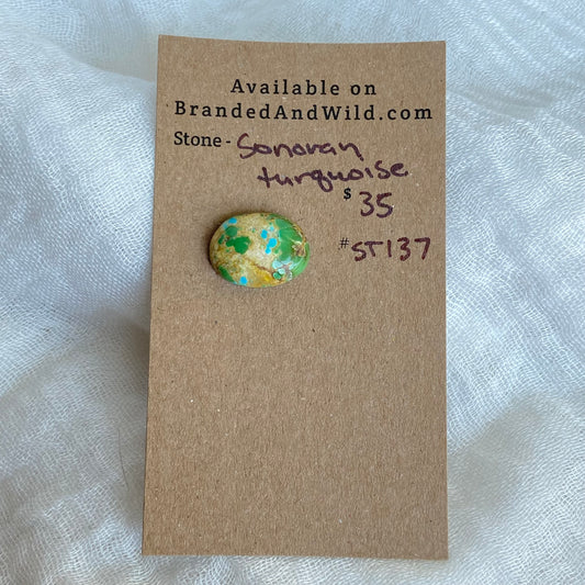 Sonoran Turquoise Cabochon - ST137