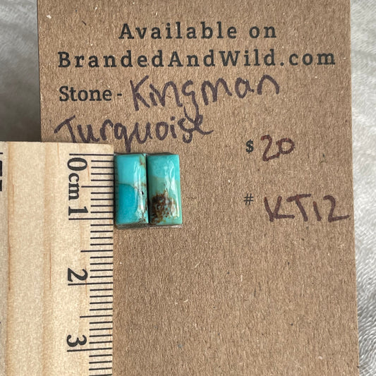 Kingman Turquoise Cabochon - KT12