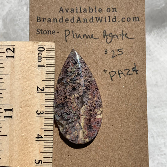 Plume Agate Cabochon - PA24
