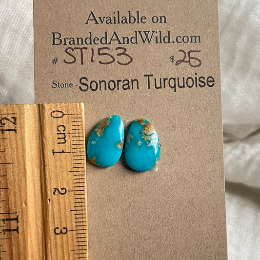 Sonoran Turquoise Cabochon - ST153 8969A331-BE4E-4215-8B15-F94988D90693 Brandedandwild.com