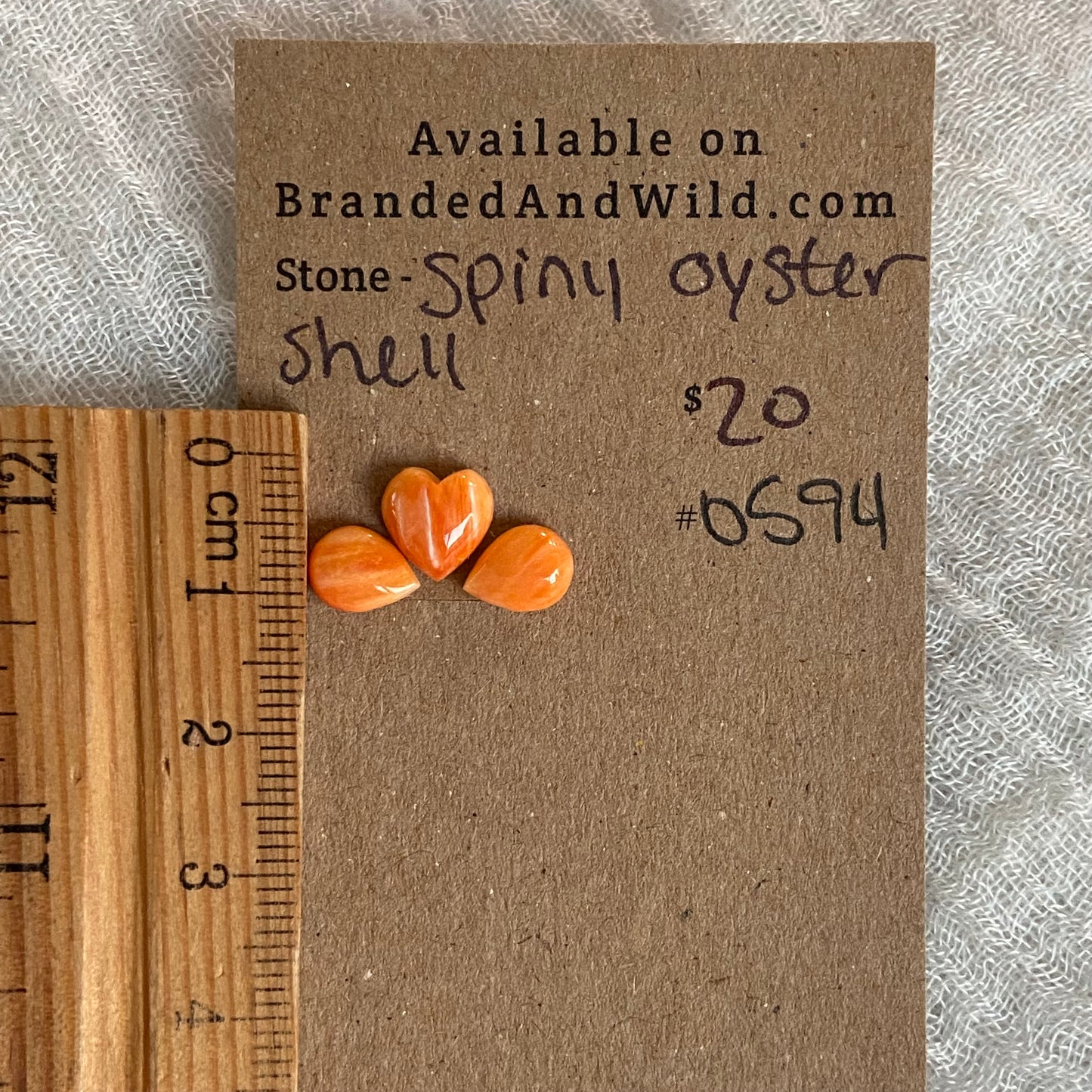 Oyster Shell Cabochon - OS94