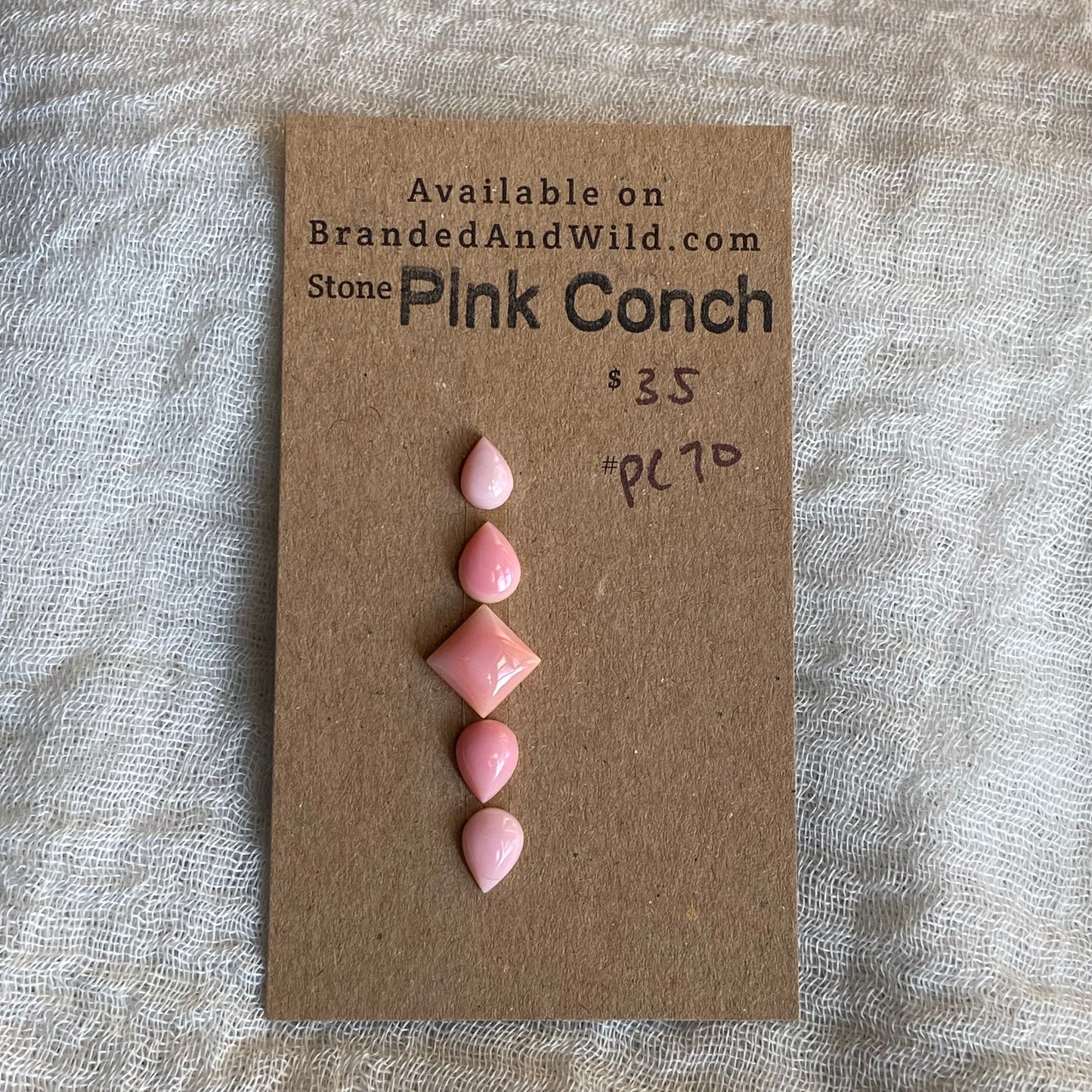 Pink Conch Cabochon - PC70