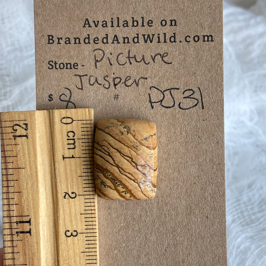 Picture Jasper Cabochon - PJ31