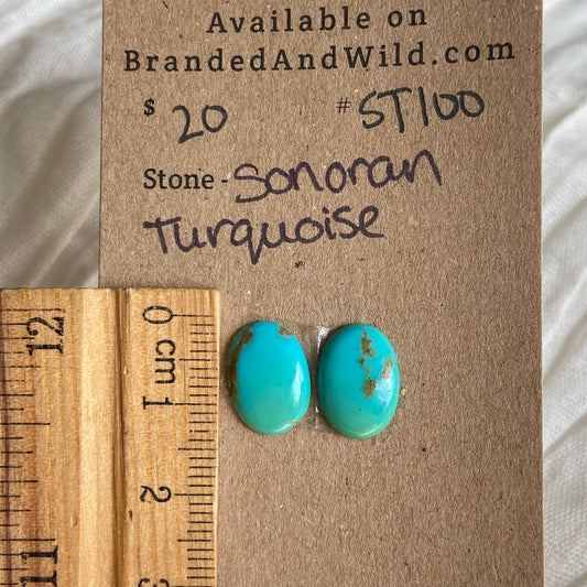 Sonoran Turquoise Cabochon - ST100 89D2FD72-AA78-4793-A3B1-DB339AA5D0D7 Brandedandwild.com