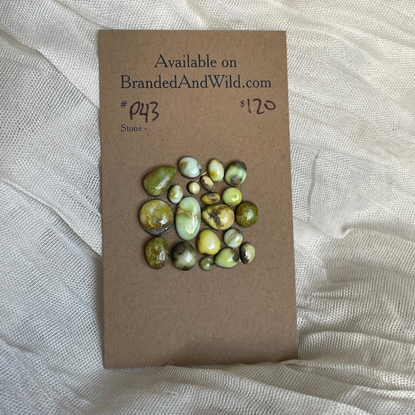 Palomino Cabochon - P43 89D62B23-E311-43BD-9DB6-30420AFBE946 Brandedandwild.com