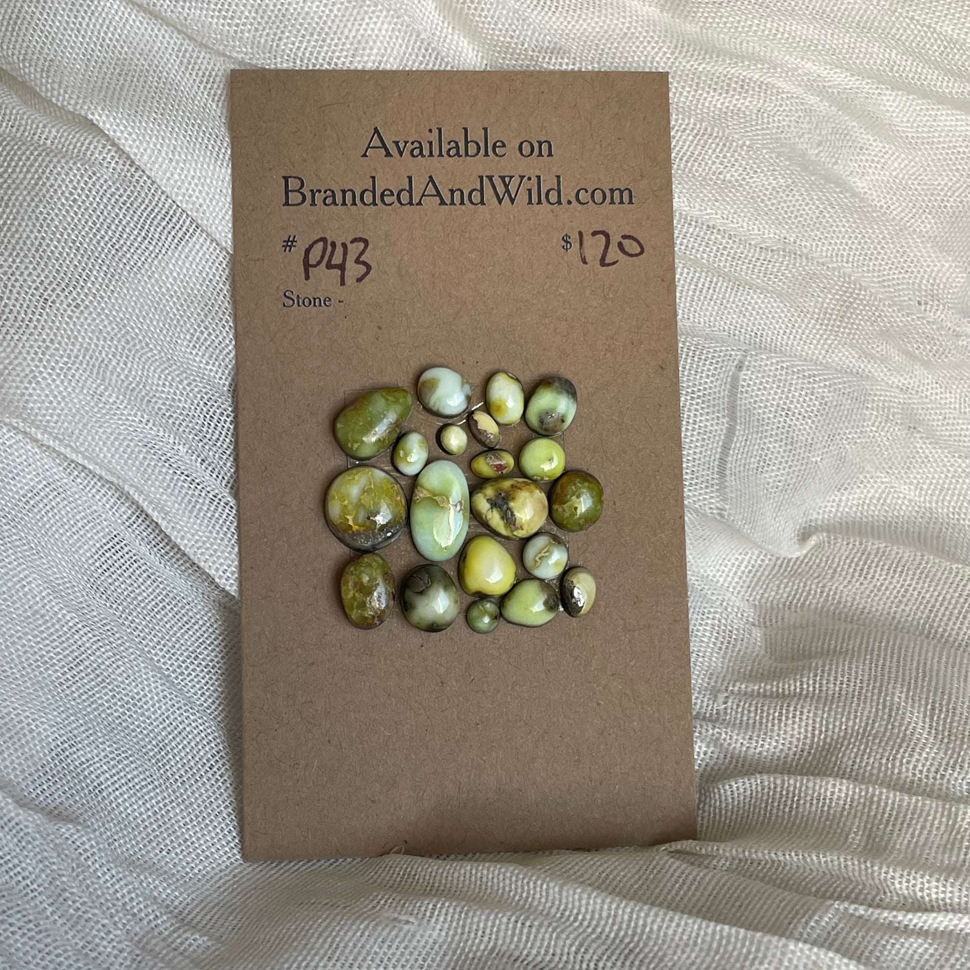 Palomino Cabochon - P43 89D62B23-E311-43BD-9DB6-30420AFBE946 Brandedandwild.com