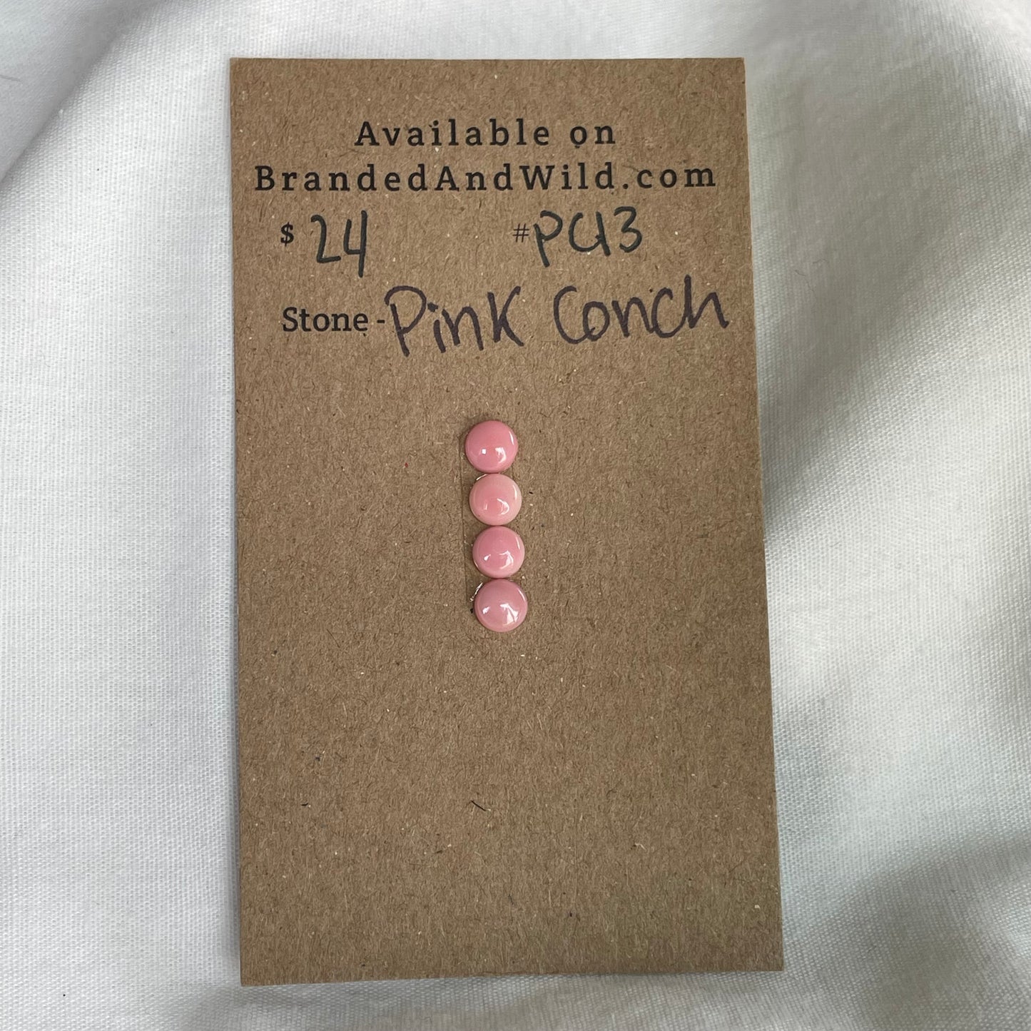 Pink Conch Cabochon - PC13