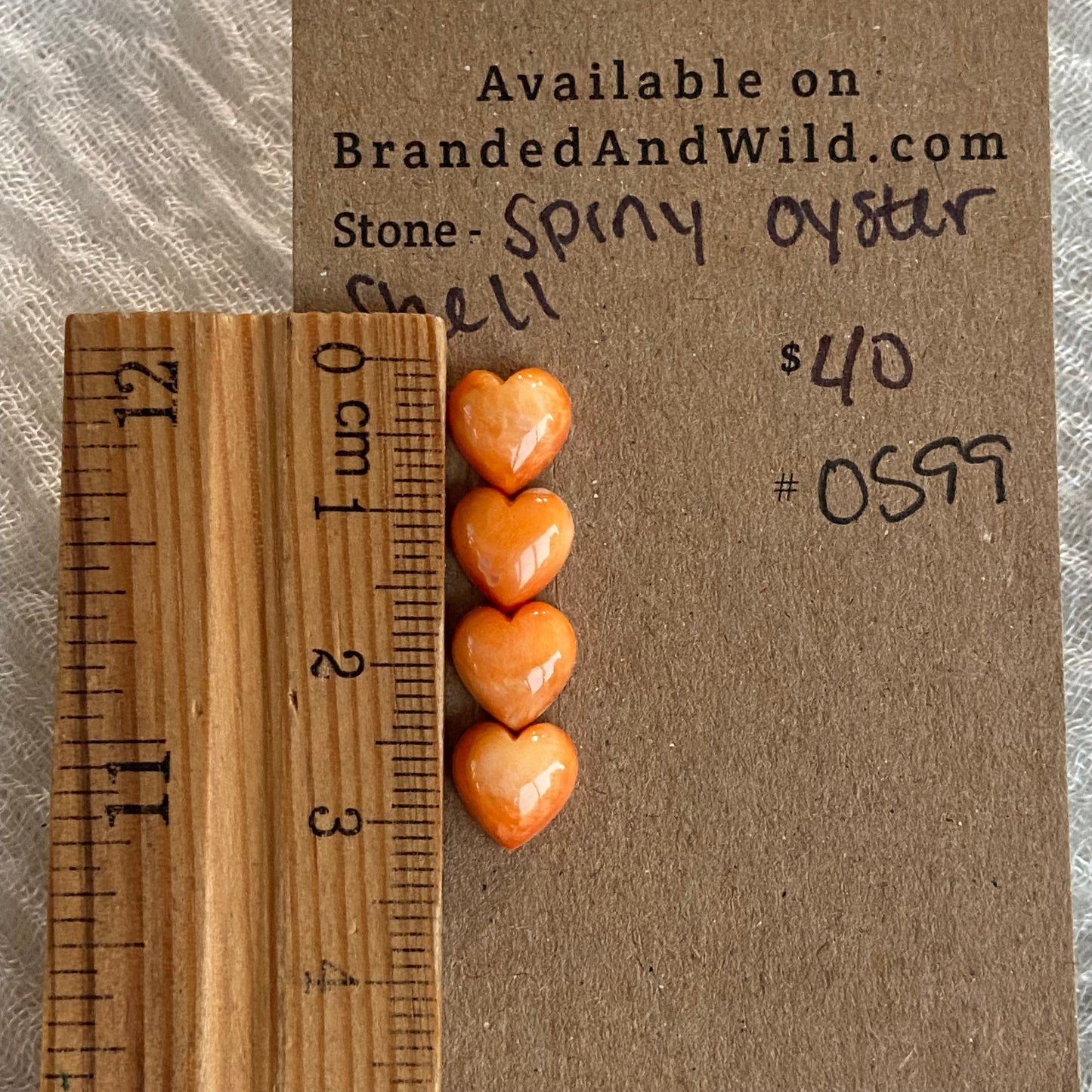 Oyster Shell Cabochon - OS99