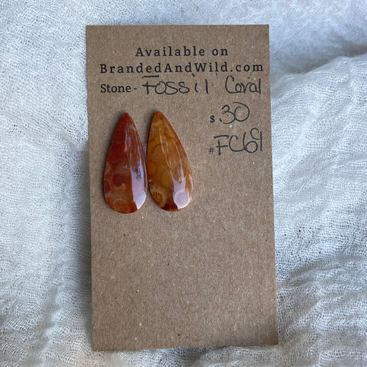 Fossil Coral Cabochon - FC69