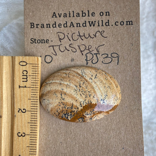 Picture Jasper Cabochon - PJ39