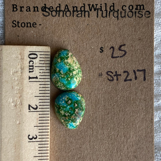 Sonoran Turquoise Cabochon - ST217