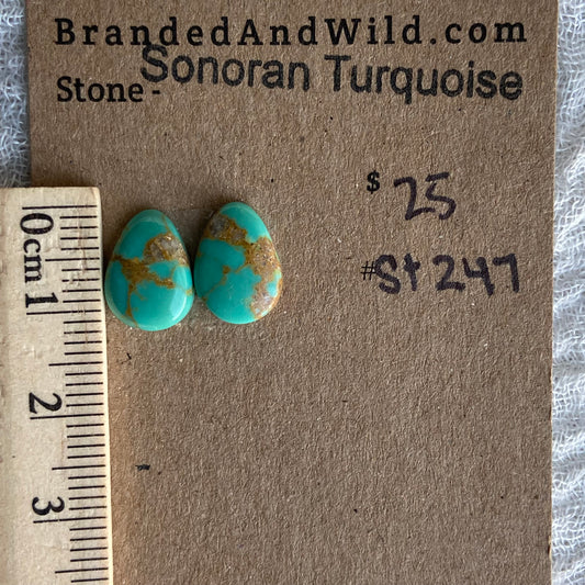 Sonoran Turquoise Cabochon - ST247