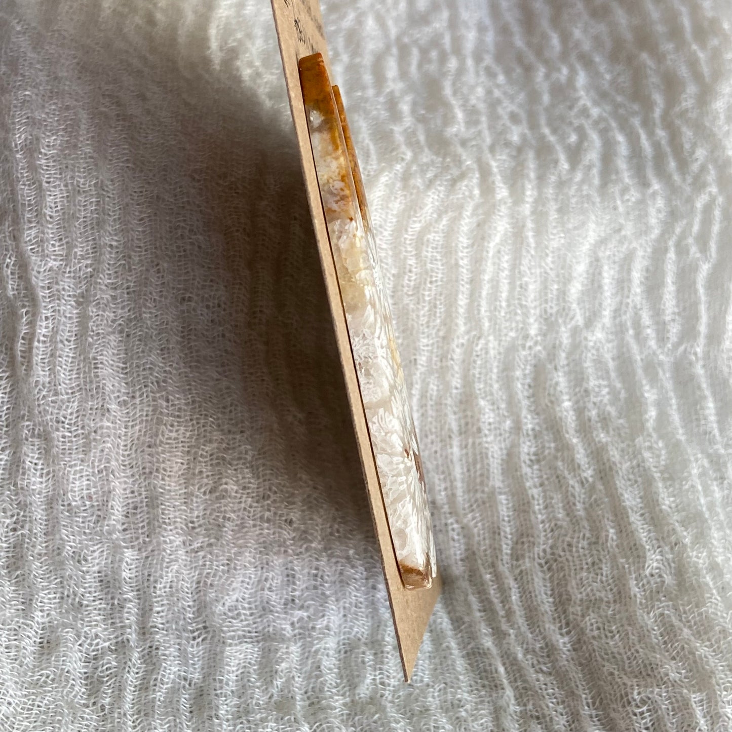 Fossil Coral Cabochon - FC27