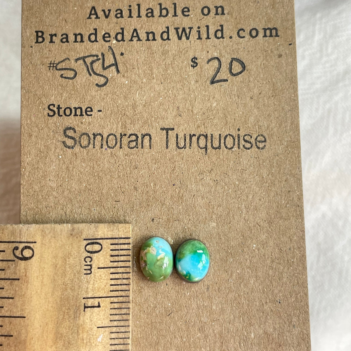 Sonoran Turquoise Cabochon - ST54 8AC84979-7F94-42DF-84A1-C7AFBFCC748B Brandedandwild.com