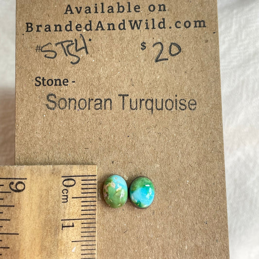 Sonoran Turquoise Cabochon - ST54 8AC84979-7F94-42DF-84A1-C7AFBFCC748B Brandedandwild.com