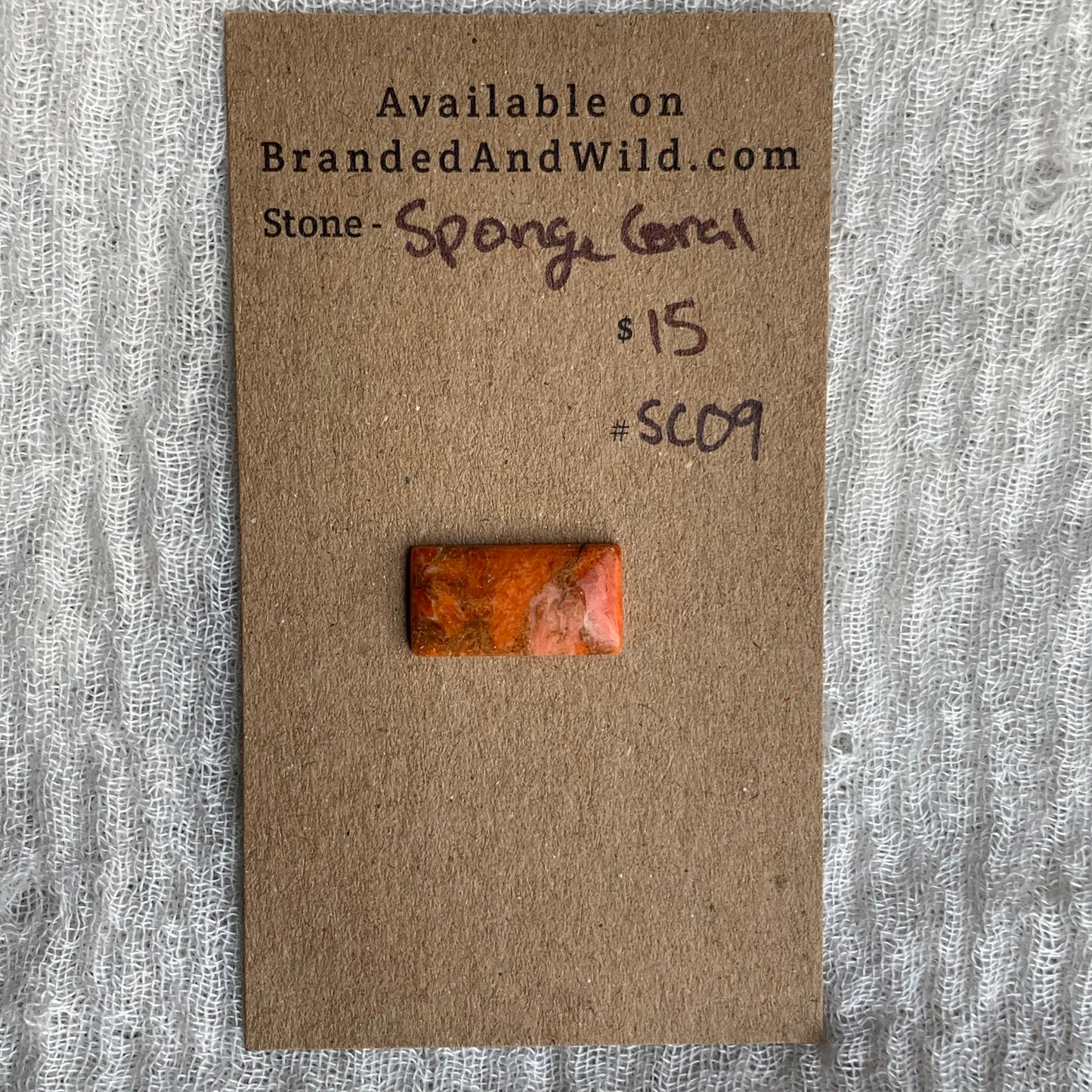 Sponge Coral Cabochon - SC09