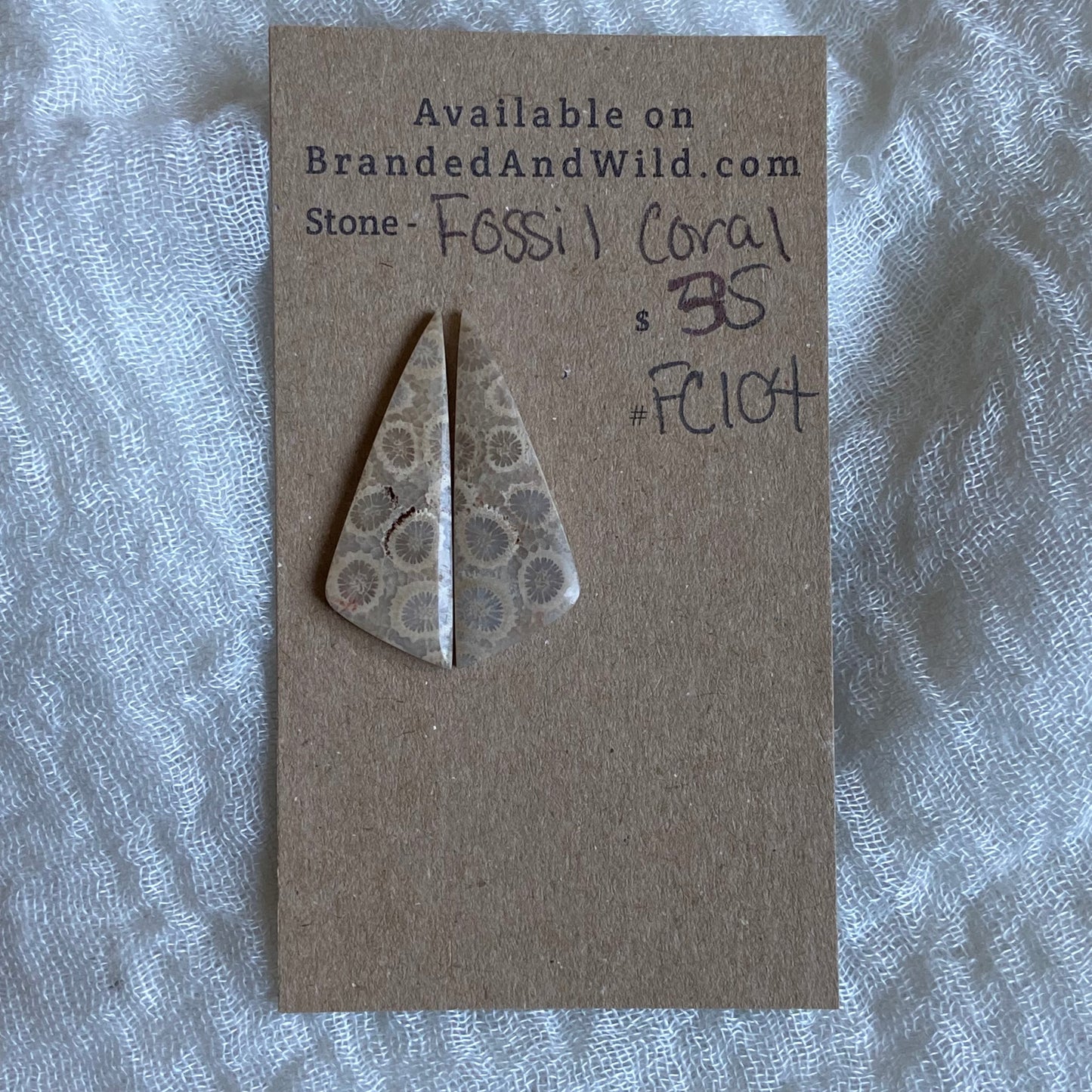 Fossil Coral Cabochon - FC104