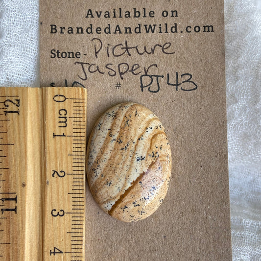 Picture Jasper Cabochon - PJ43