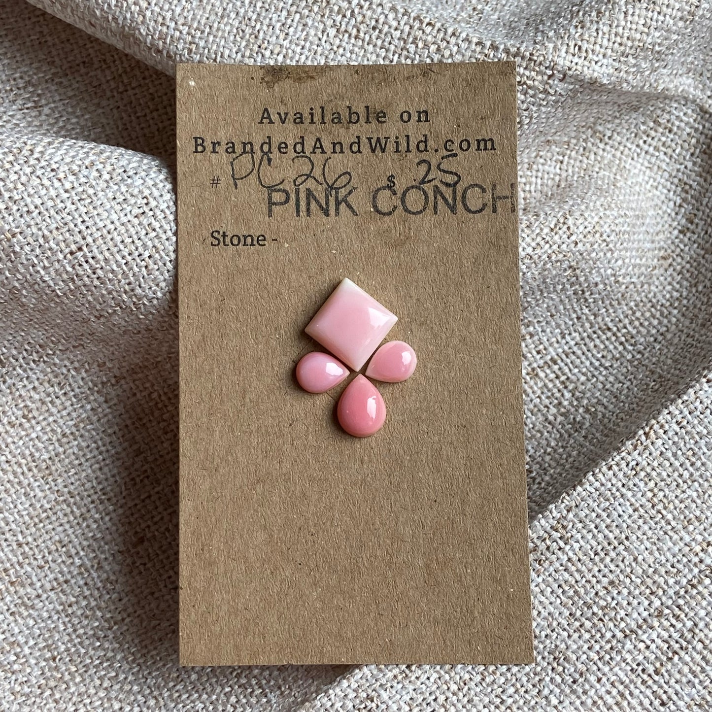 Pink Conch Cabochon - PC26 8B6BC51E-3A6F-4536-9E05-366B24E8E1B9 Brandedandwild.com