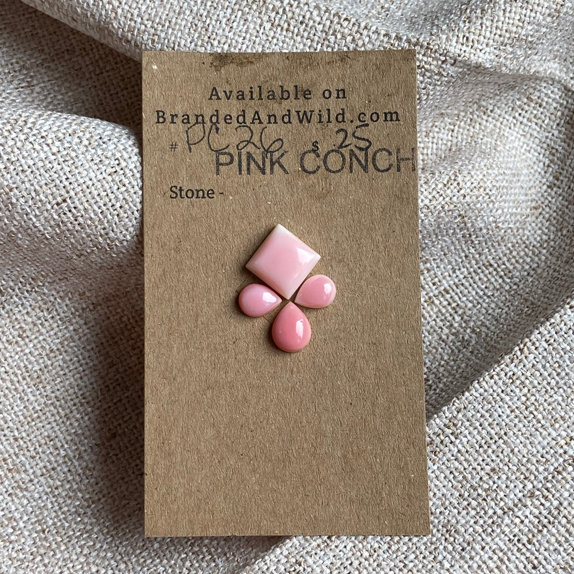Pink Conch Cabochon - PC26 8B6BC51E-3A6F-4536-9E05-366B24E8E1B9 Brandedandwild.com