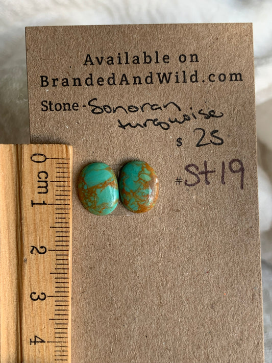 Sonoran Turquoise Cabochon - ST19