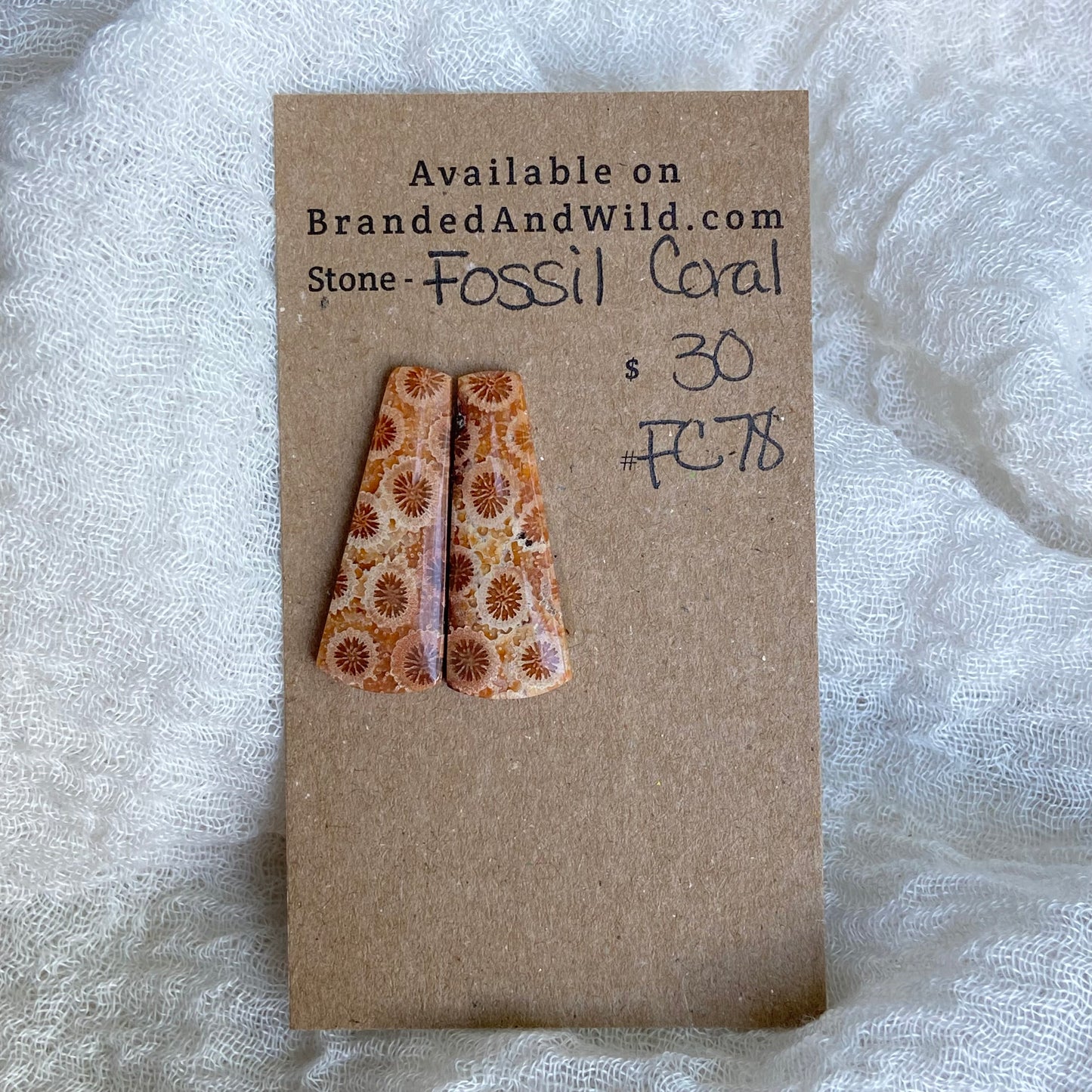 Fossil Coral Cabochon - FC78