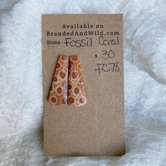 Fossil Coral Cabochon - FC78
