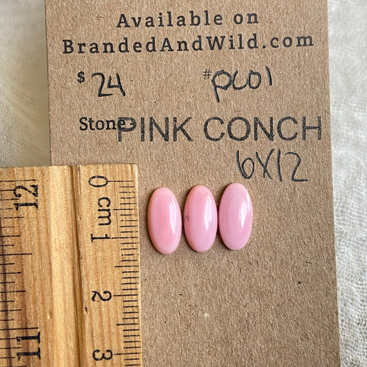 Pink Conch Cabochon - PC01 8BA0FD15-E247-4C9B-9AEE-BB812EBADE8A Brandedandwild.com